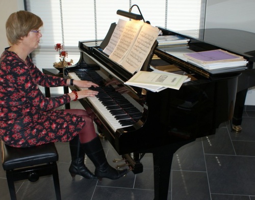 liesbeth van der vegt pianoles heerenveen